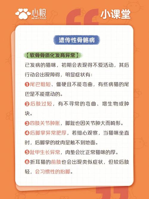 让折耳猫适应训练的方法，折耳猫怎样延缓发病