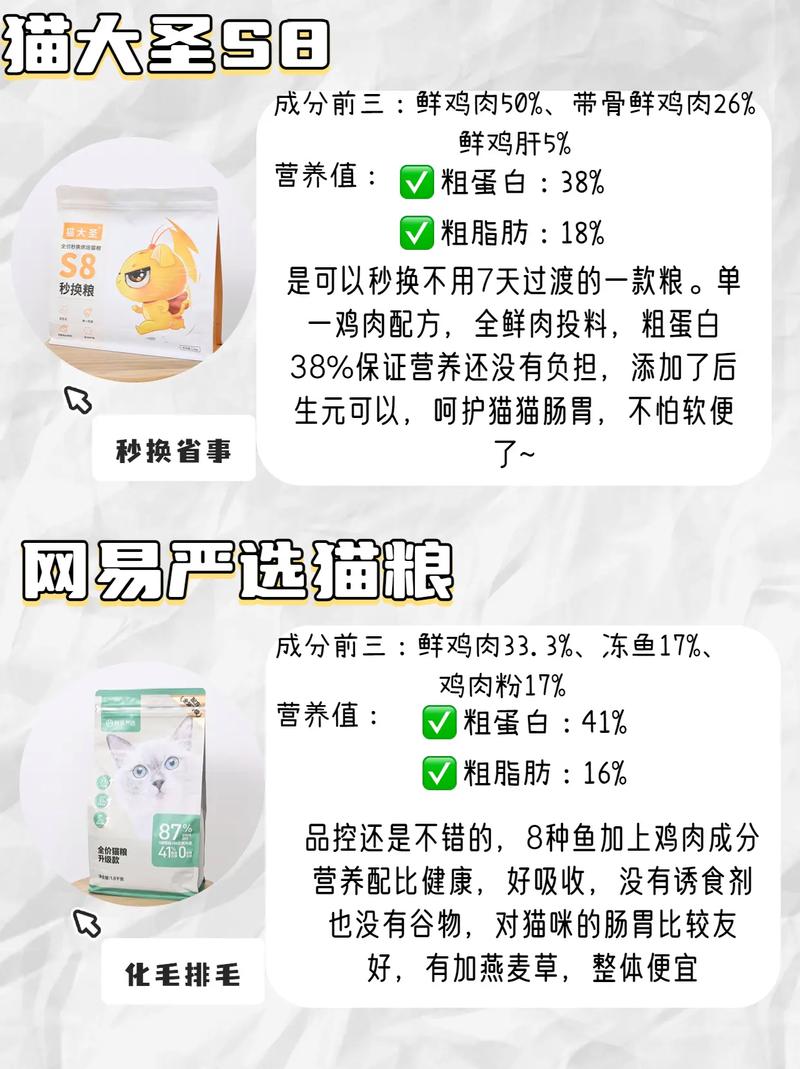 布偶猫猫粮选购方法介绍视频，布偶猫经济实惠的猫粮