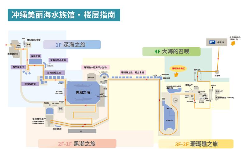 观赏鱼水层分布图，观赏鱼水族馆设计图