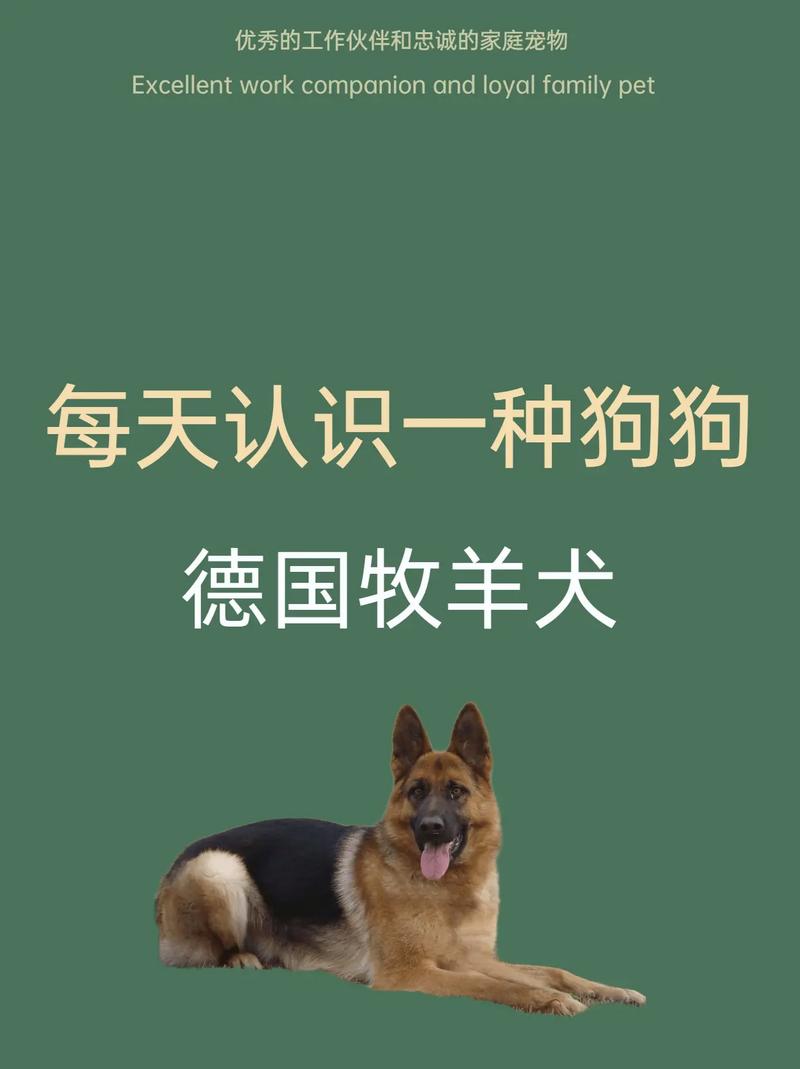 德国牧羊犬的，德国牧羊犬的优点和缺点