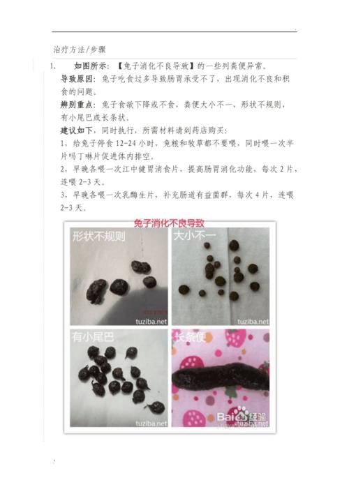 兔子拉稀怎么办最快的方法不用药，兔子拉稀了该怎么办?