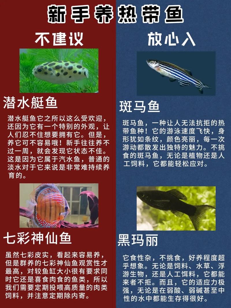 热带鱼品种大全图名字，热带鱼品种和图片