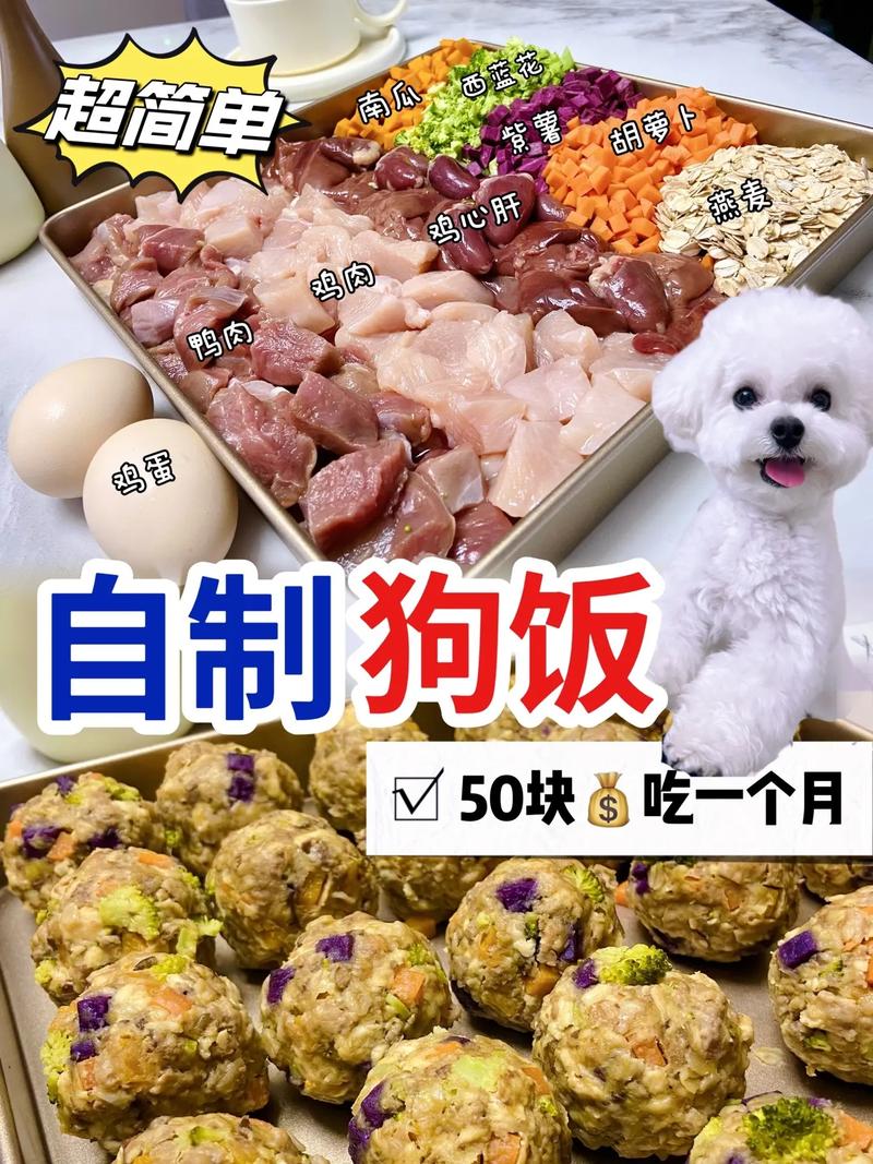 拉布拉多粮食制作，拉布拉多制作狗粮