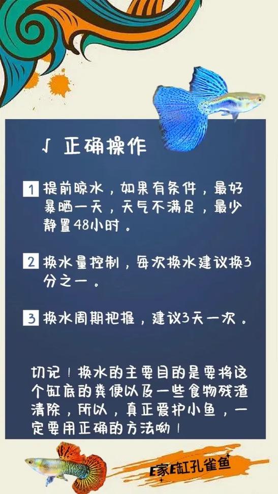 如何帮助热带鱼换水视频，如何帮助热带鱼换水视频教程