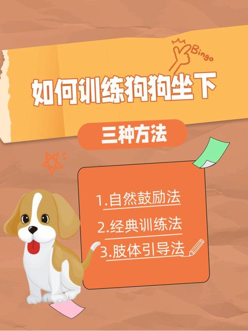 拉布拉多犬怎样训练?(图文系列)，拉布拉多犬训练教程视频