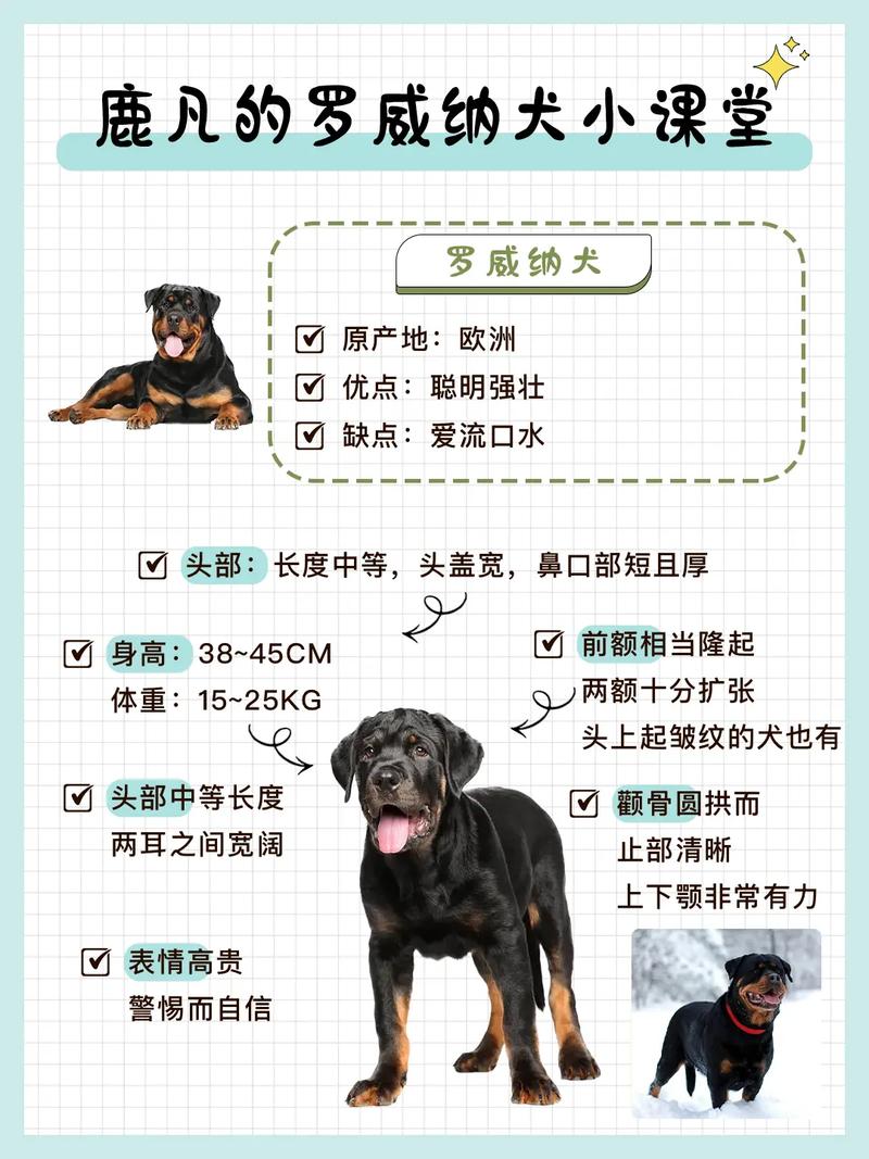 养罗威纳犬的坏处有哪些方面，养罗威纳犬的好处