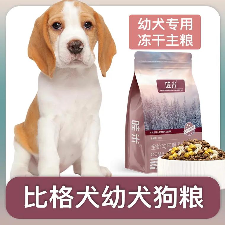 比格犬家养吃什么，比格犬家养吃什么狗粮好