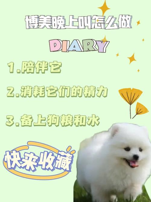 博美犬半夜老是要叫怎么办，博美半夜叫唤怎么回事