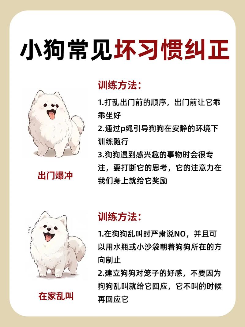 泰迪犬不听话要怎么训养，泰迪狗狗不听话怎么训练