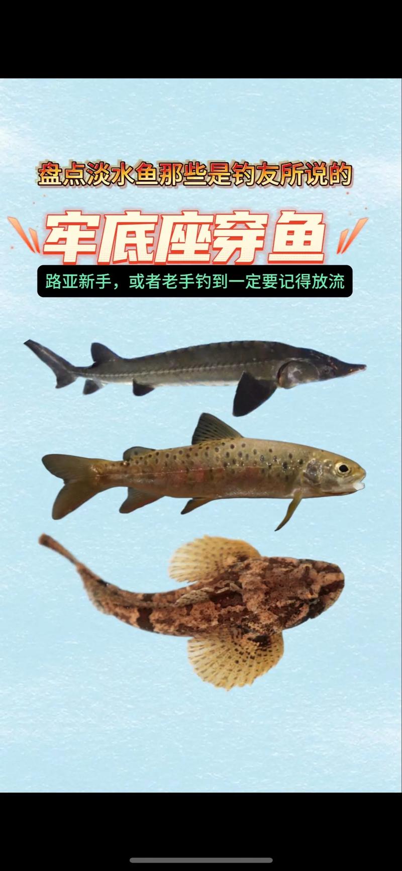 淡水鱼保护，淡水鱼保护品种大全