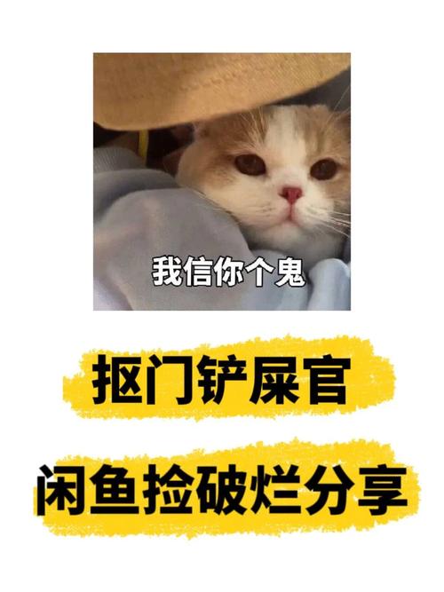 猫咪偷吃咸鱼后怎么办，猫偷吃了咸鱼怎么办