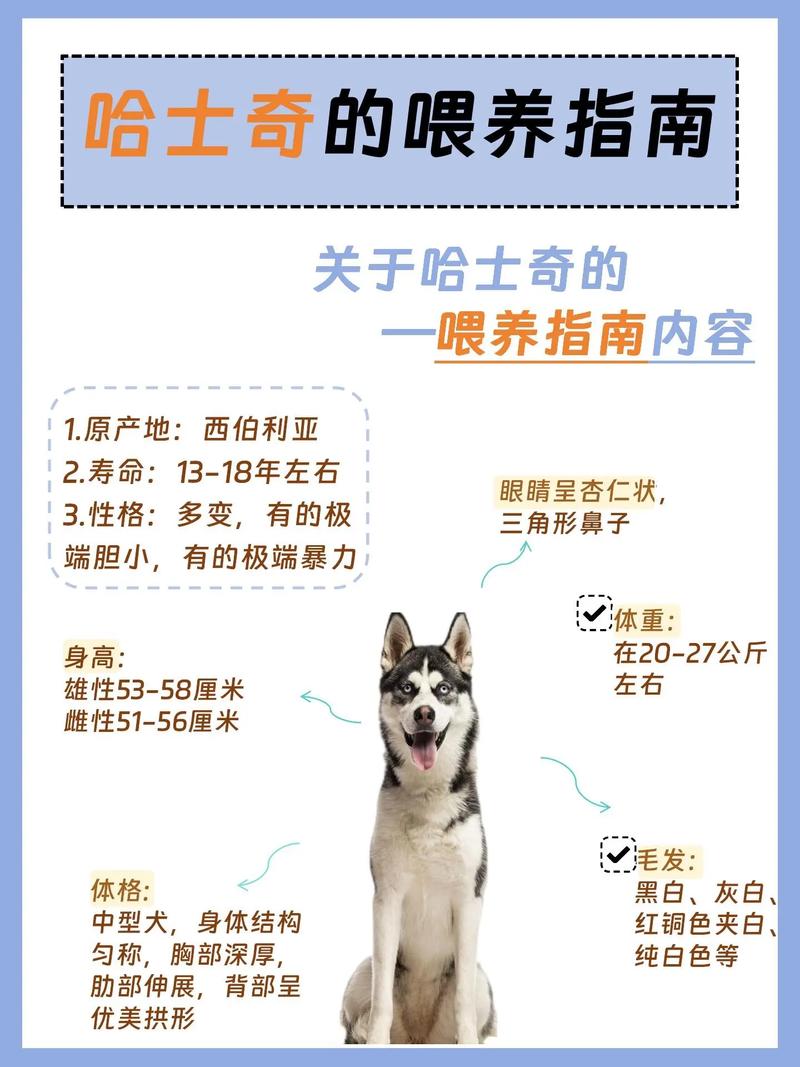 哈士奇幼犬喂食量，哈士奇幼犬喂食标准