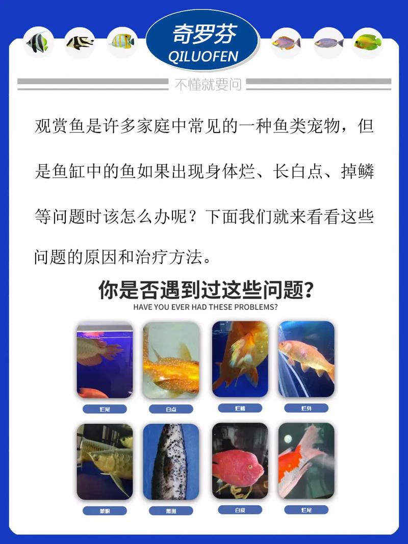 鱼缸的鱼身上长白色的，鱼缸的鱼身上长白点的是什么原因