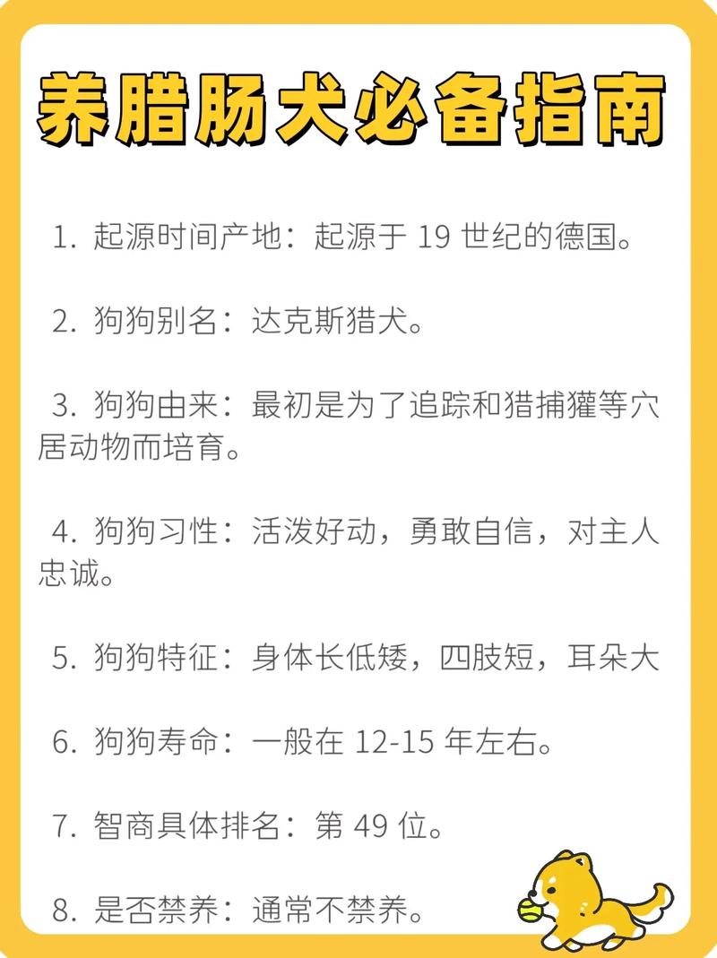 腊肠犬缺点，腊肠犬特性