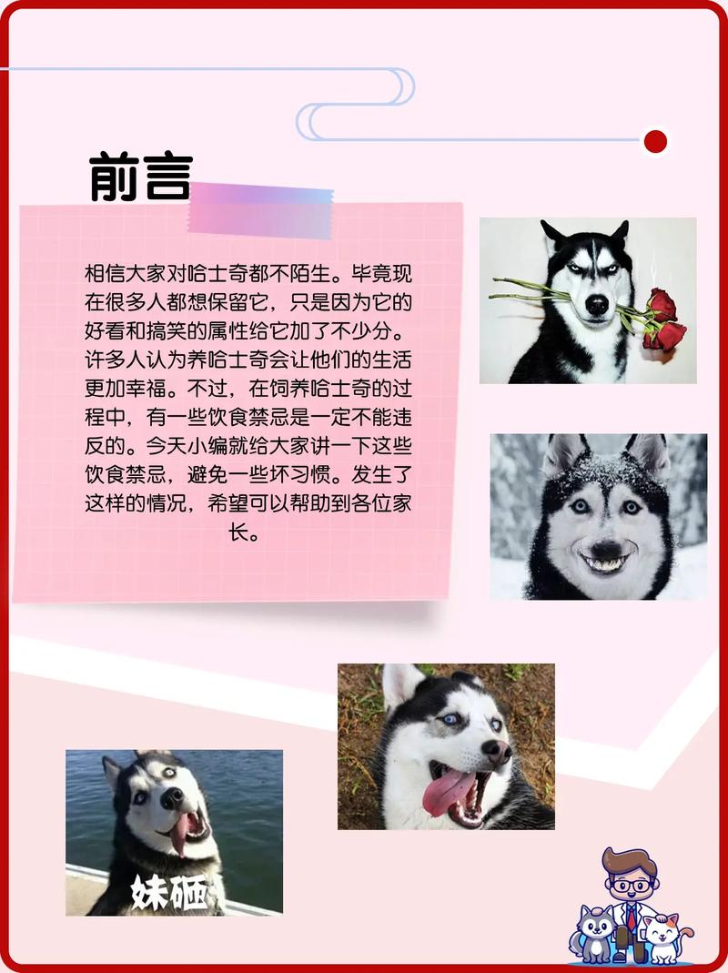 哈士奇狗狗不能吃的食物是什么，哈士奇不吃什么东西