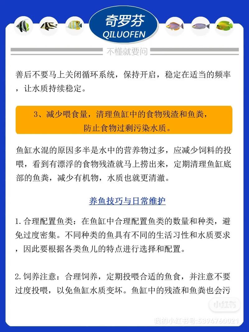 生态鱼缸水混浊，生态鱼缸水浑浊原因和解决方案