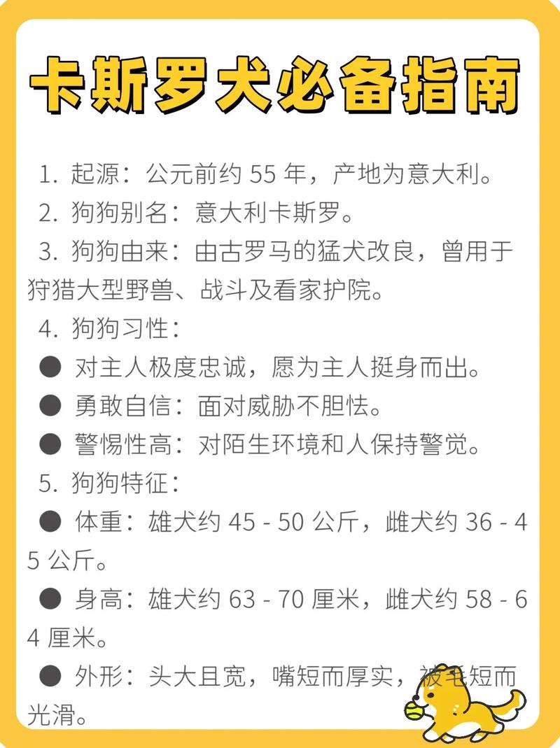 卡斯罗犬的优缺点，卡斯罗犬品种与介绍