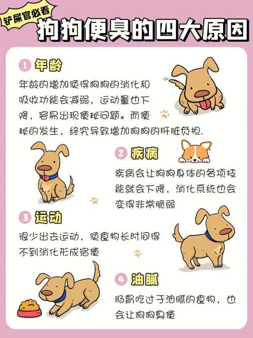 博美犬拉肚子怎么办不吃不喝，博美狗拉肚子怎么回事