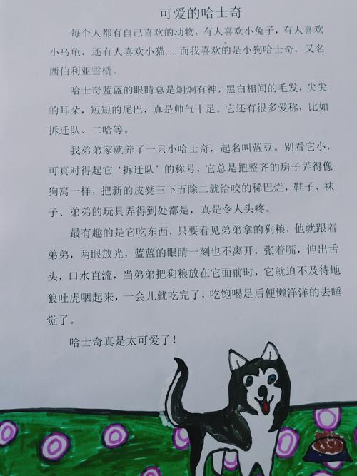 哈士奇很臭是什么原因，哈士奇太臭了怎么办