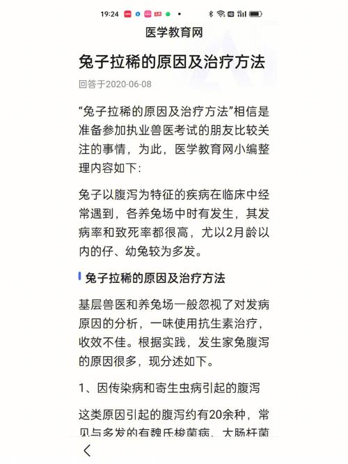 兔子拉稀怎么办最快最有效的方法，兔子拉稀怎么办自己会好吗