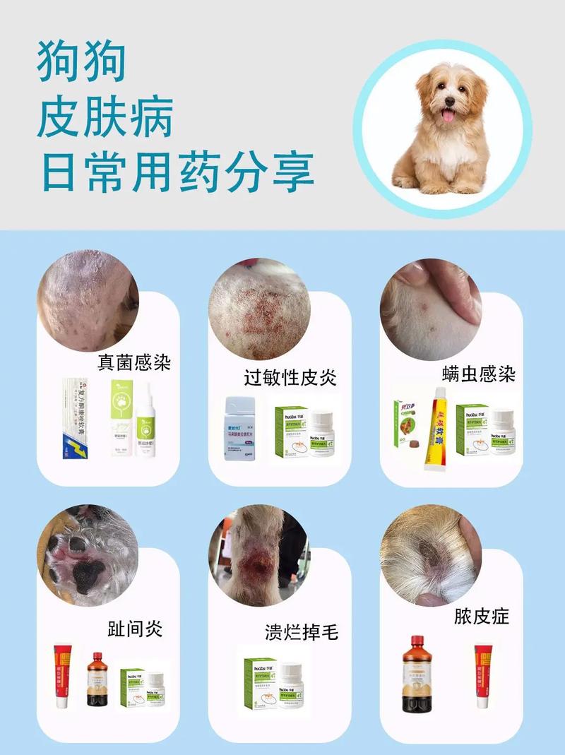 阿拉斯加犬得了皮肤病用什么药，阿拉斯加皮肤病会自愈吗