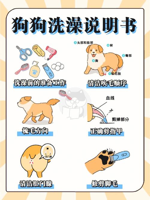 怎么给德国牧羊犬洗澡视频教程，如何给牧羊犬洗澡