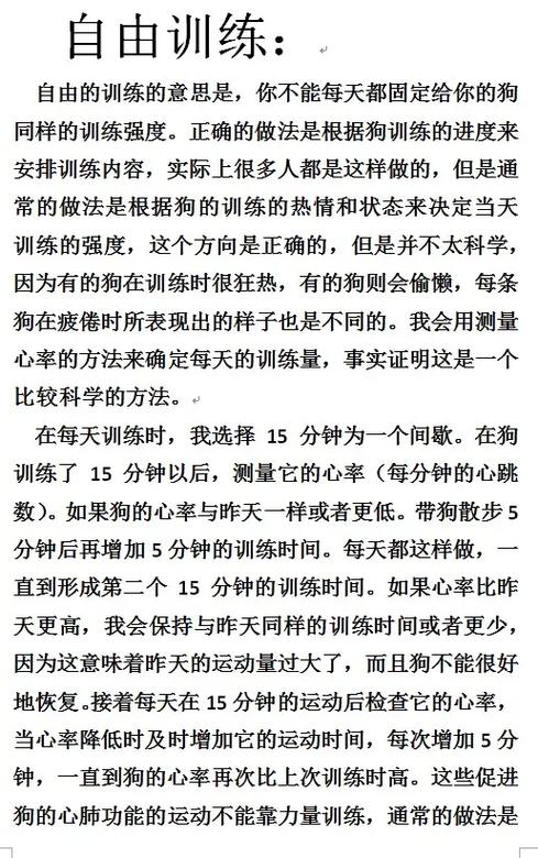 比特犬多大开始训练，比特犬多大开始训练好