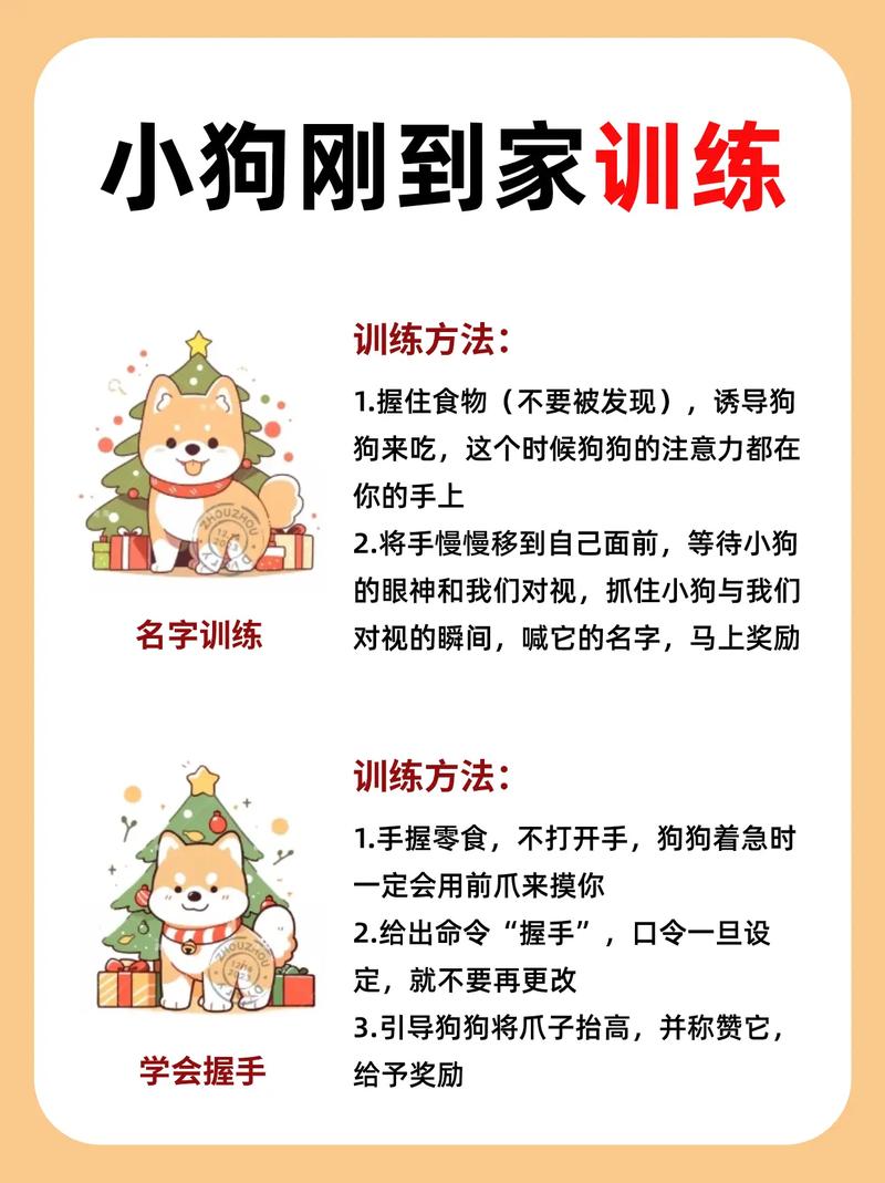 中华田园犬训练方法视频，中华田园犬怎样训练才会变乖