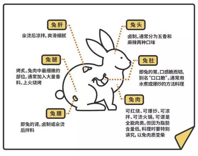 熊猫兔喝凉水还是喝温水，熊猫兔喝什么水