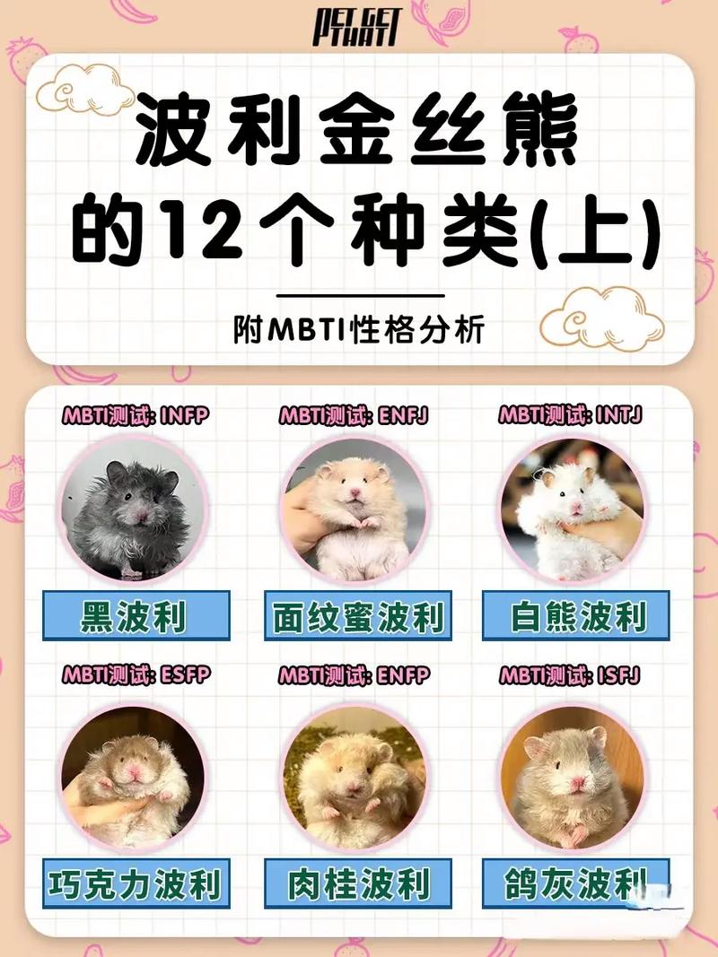 熊猫仓鼠特征介绍，熊仓鼠品种大全