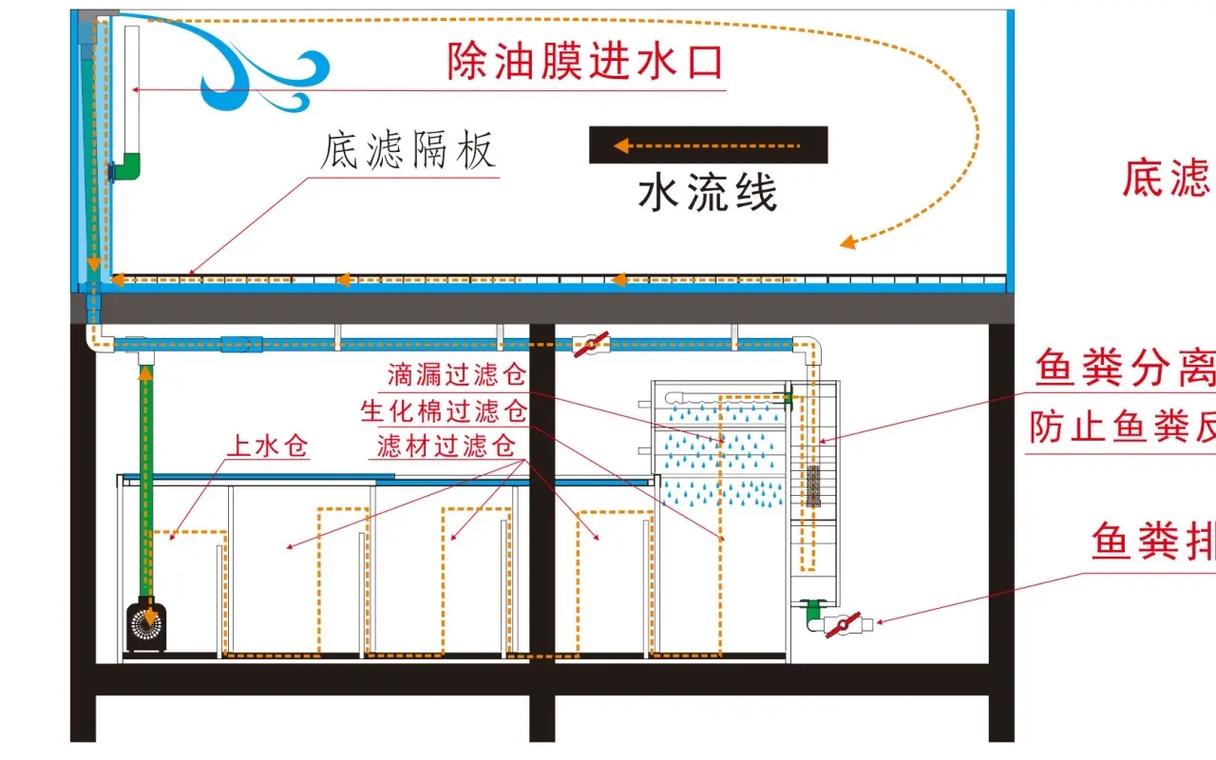 简易实用的鱼缸过滤方法，鱼缸过滤怎么做美观