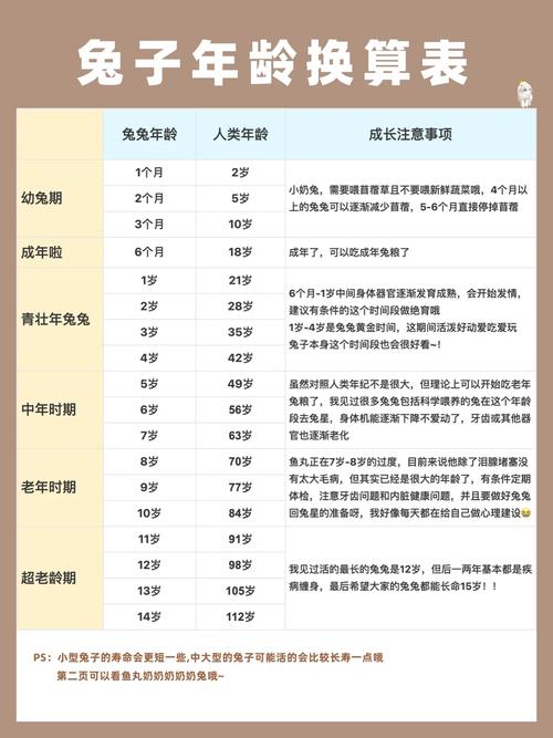 兔子各阶段喂料量，兔子饲喂量