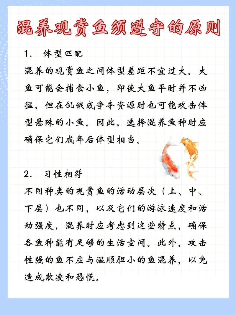 几种热带鱼混养,如何繁殖，热带鱼的搭配混养应遵循哪些基本原则