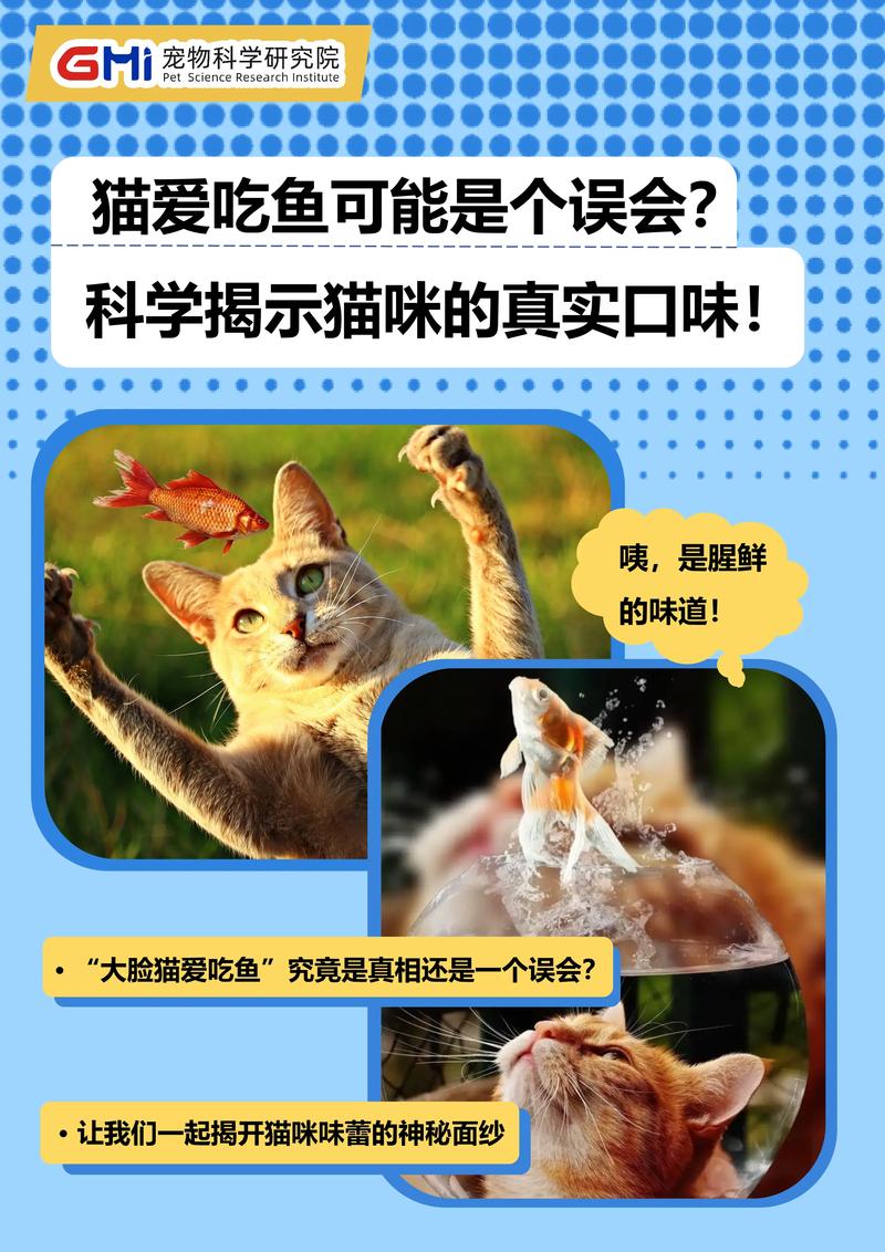 猫咪为啥爱吃鱼头，猫咪为啥爱吃鱼头呢