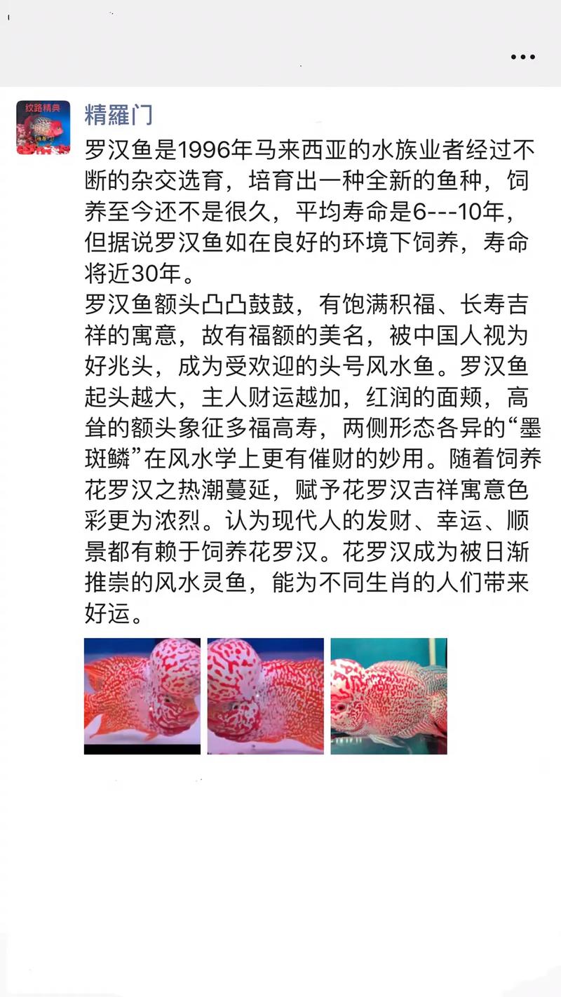 罗汉鱼怎么挑，罗汉鱼怎么挑选