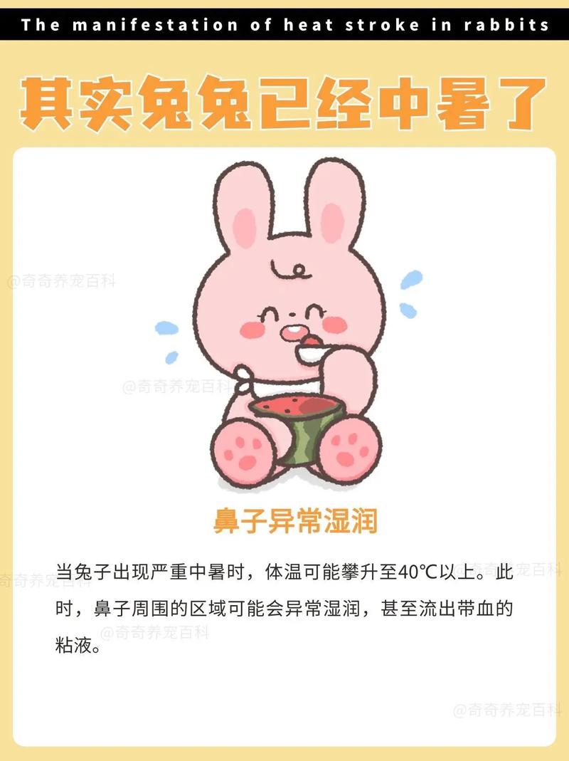 兔子中暑的症状，兔子中暑的症状是什么样的