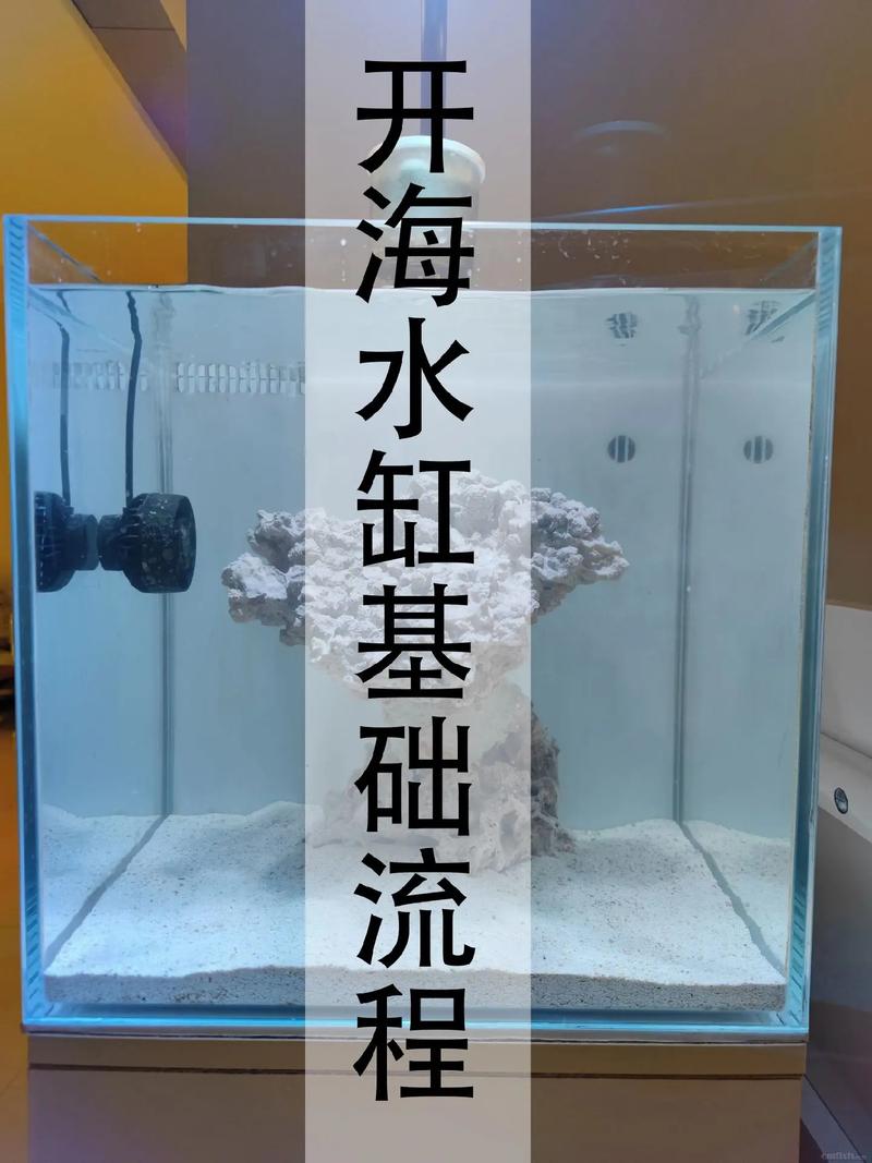 海水鱼买鱼过水入缸前怎么处理，海缸新鱼过水