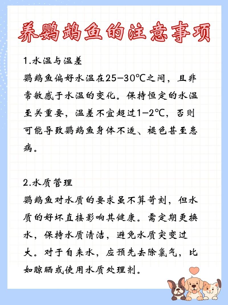 鹦鹉鱼的养殖与防病，鹦鹉鱼怎么养需要注意些什么