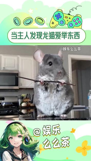 如何治疗宠物鼠龙猫身上的病毒，龙猫有鼠疫么