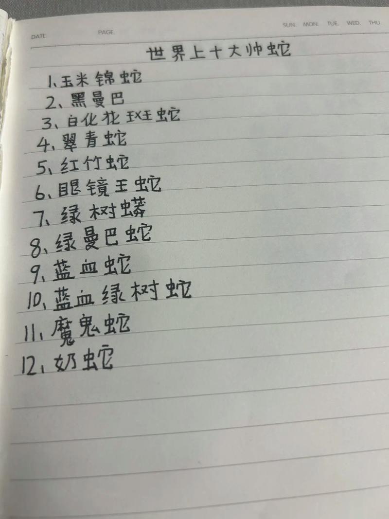 有蛇的蛇怎么写，蛇的字有哪些