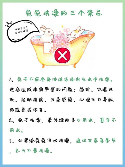 兔子用洗澡吗，兔子能洗澡吗?怎么洗?