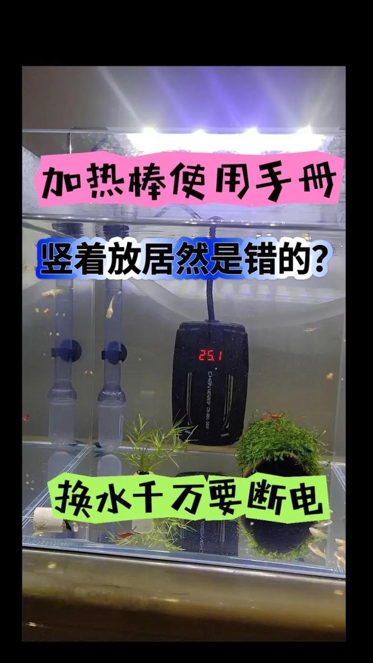 鱼缸加热棒推荐一下，鱼缸加热棒 推荐