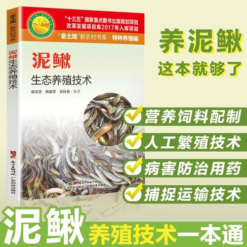 泥鳅鱼的养殖技术，泥鳅鱼的养殖技术和管理