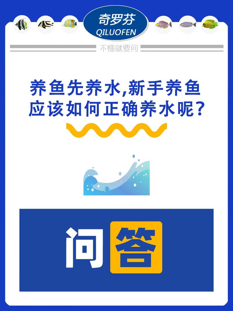 养鱼三要素,除了要给鱼吃食给鱼换水还要干嘛?，告诉你养鱼必须换水的原因