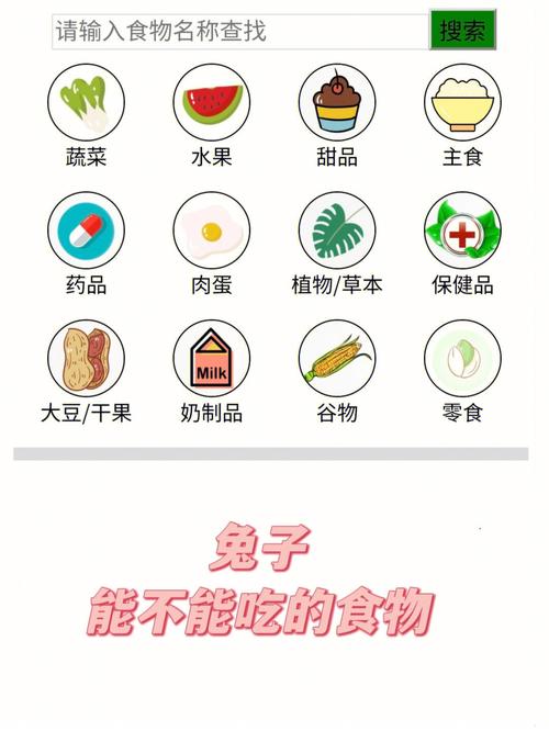 小兔子吃啥饮食，小兔子吃什么最健康